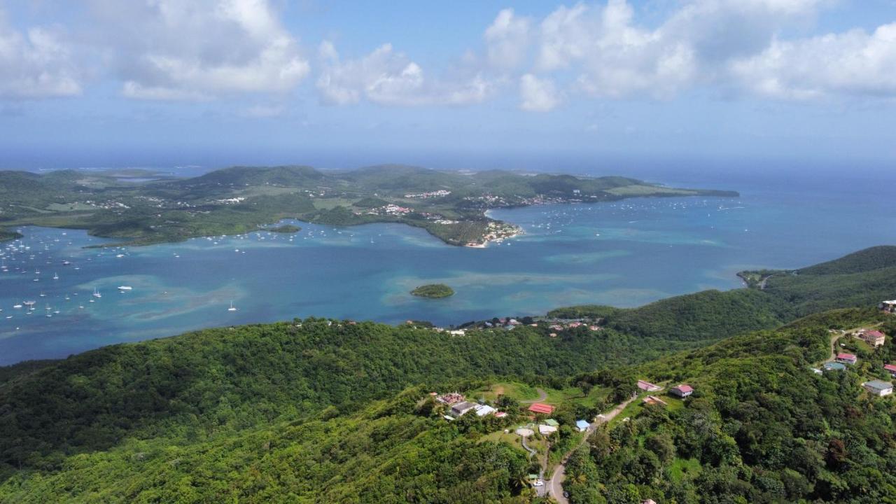 Le Marin - Bungalow Classe 3 Etoiles Tb Equipe & Confortable - Escapade En Couple - Paisible & En Toute Discretion - Wi-Fi - Climatisation - Calme & Serenite - Plages Du Sud, Centre De Carenage & Marina Du Marin Proche En Voiture - Acheminement Sur D Exterior foto