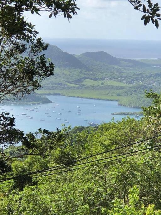 Le Marin - Bungalow Classe 3 Etoiles Tb Equipe & Confortable - Escapade En Couple - Paisible & En Toute Discretion - Wi-Fi - Climatisation - Calme & Serenite - Plages Du Sud, Centre De Carenage & Marina Du Marin Proche En Voiture - Acheminement Sur D Exterior foto